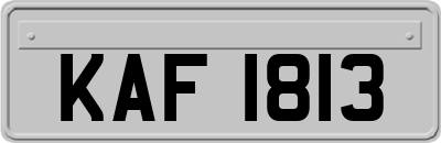 KAF1813