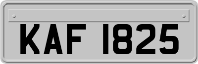 KAF1825