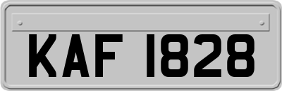 KAF1828