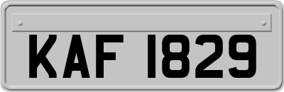KAF1829