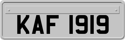KAF1919