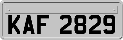 KAF2829