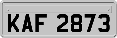 KAF2873