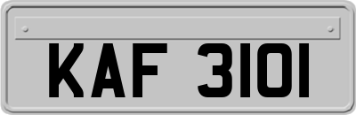 KAF3101