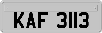 KAF3113