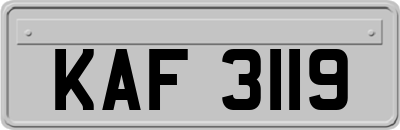 KAF3119