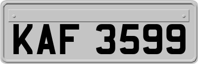 KAF3599