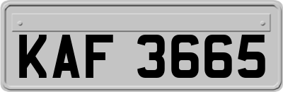 KAF3665