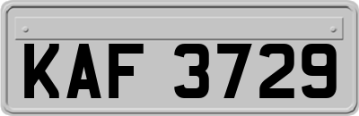 KAF3729