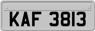 KAF3813