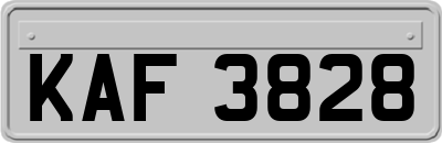 KAF3828