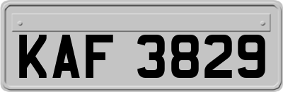 KAF3829