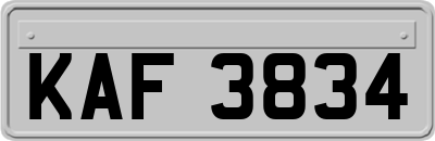 KAF3834