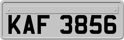 KAF3856