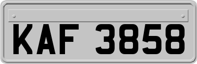 KAF3858