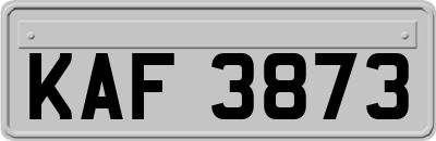 KAF3873