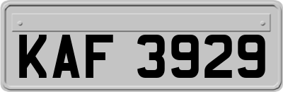 KAF3929