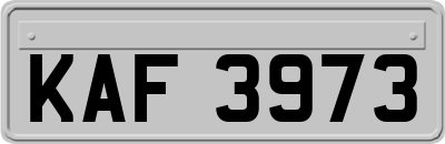 KAF3973