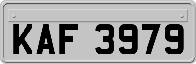 KAF3979