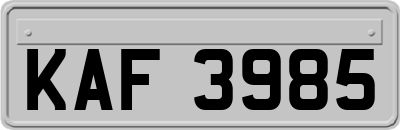KAF3985