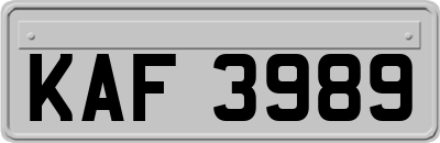 KAF3989