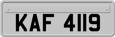 KAF4119