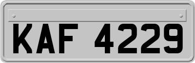 KAF4229