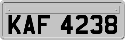 KAF4238