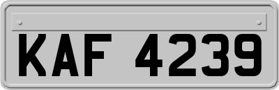 KAF4239