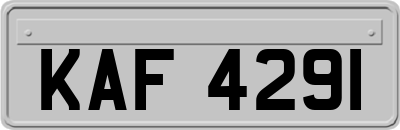 KAF4291