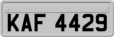 KAF4429