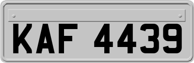 KAF4439
