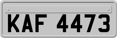 KAF4473