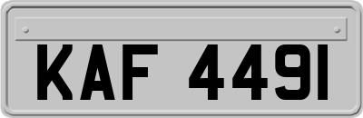 KAF4491
