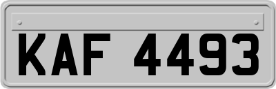 KAF4493