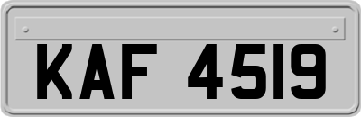 KAF4519