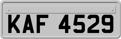 KAF4529