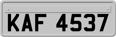 KAF4537