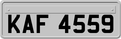 KAF4559
