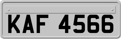 KAF4566