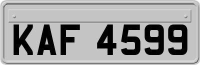 KAF4599