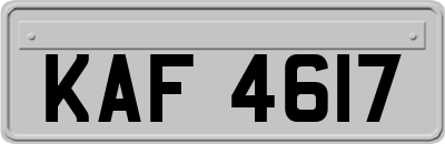 KAF4617