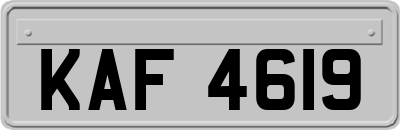 KAF4619