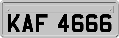 KAF4666