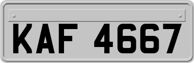 KAF4667