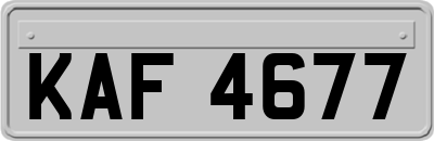 KAF4677