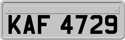 KAF4729