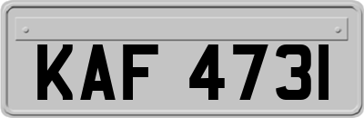 KAF4731
