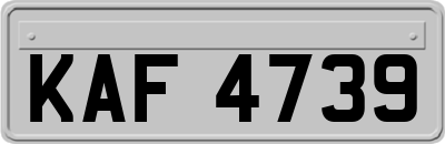 KAF4739