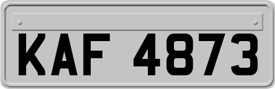 KAF4873